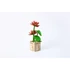 LeWood 3D Fa Puzzle Lotus