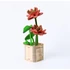 Multiversum 3D Fa Puzzle Lotus